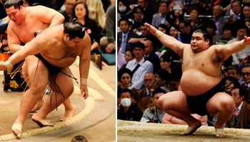 sumo 2018