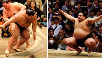 ver sumo japones